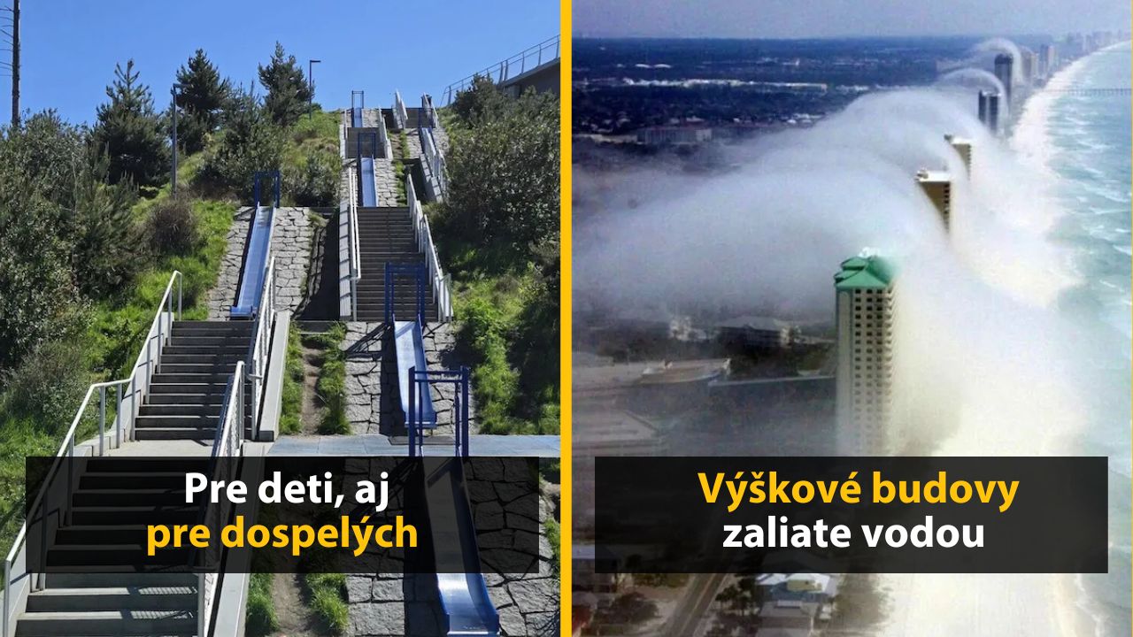 30+ Obrázkov, ktorými dokonale zabiješ čas #561 – Mačka pozerá horory alebo dom na streche paneláku