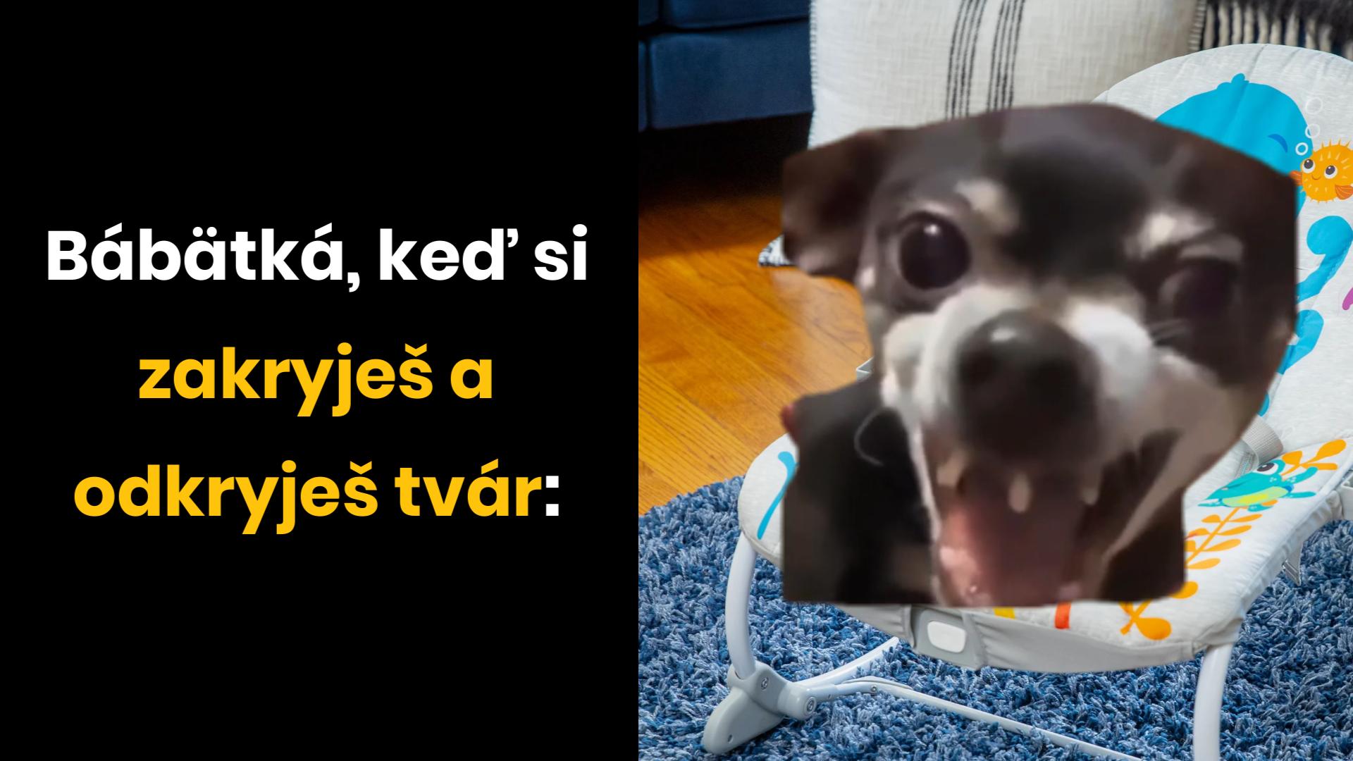 Najvtipnejšia vec na svete