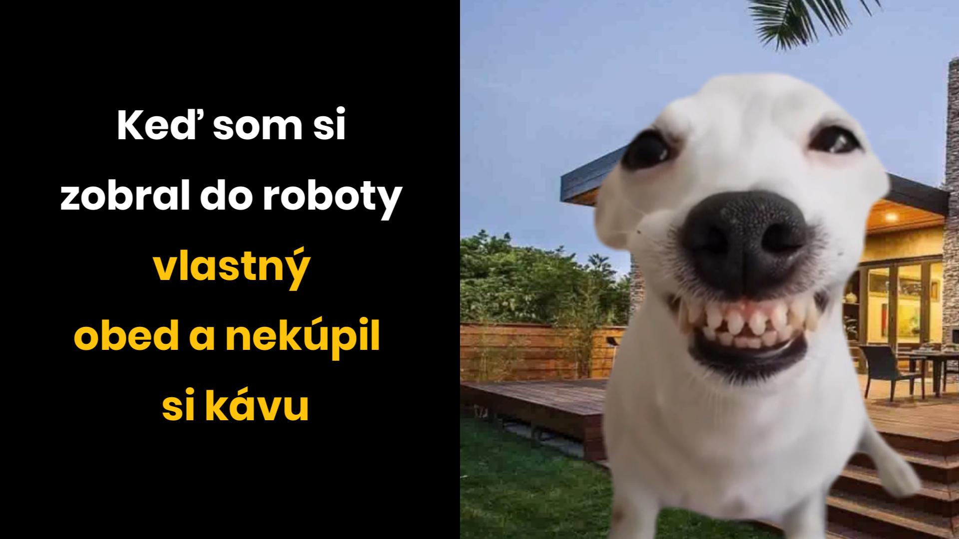 Ako sa stať milionárom!