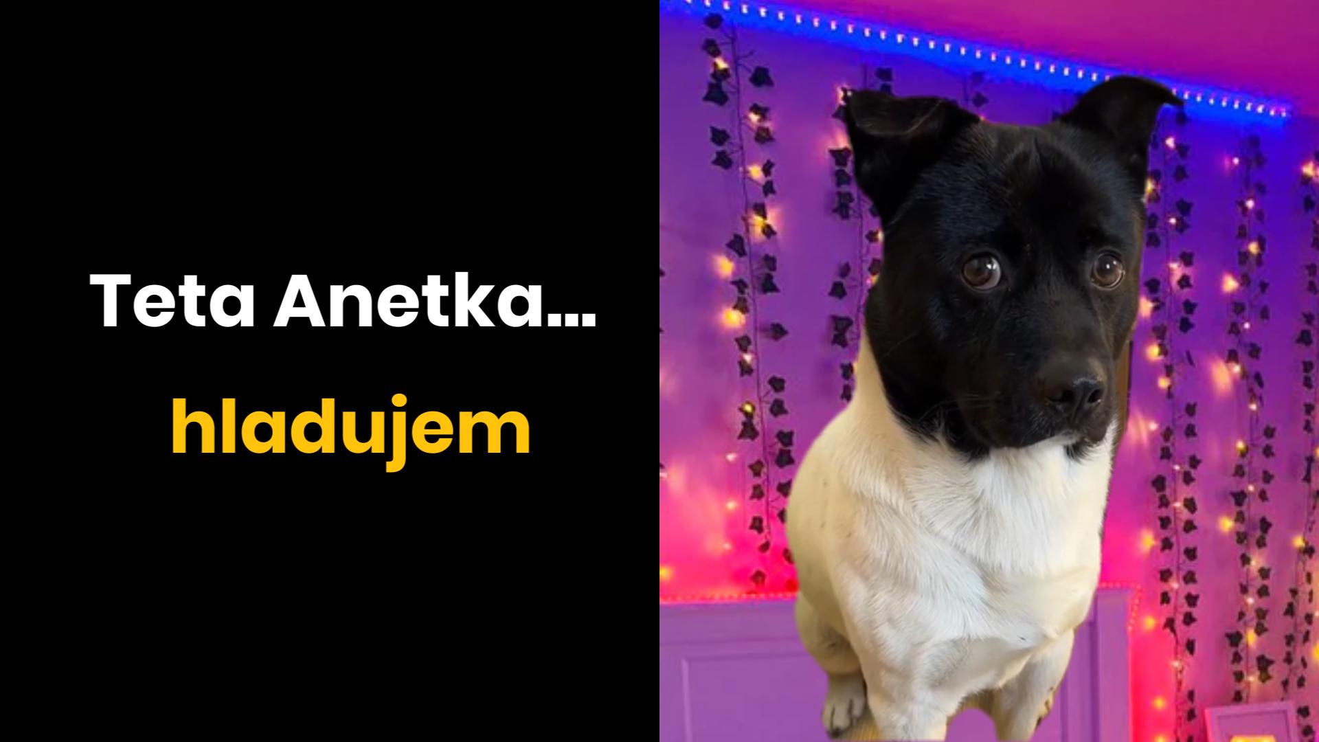 Kde sú peniažky teta?