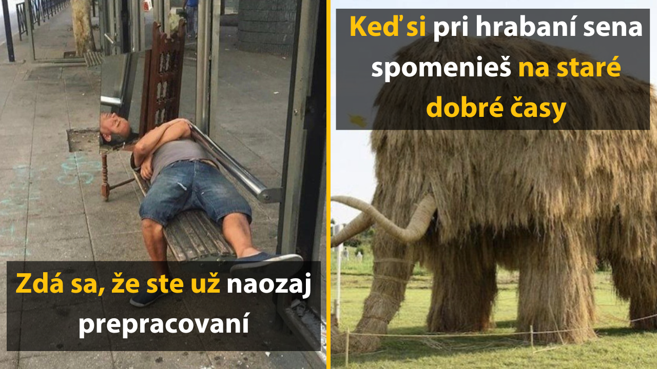 10 vtipných situácií z nášho úplne obyčajného života – 1. časť