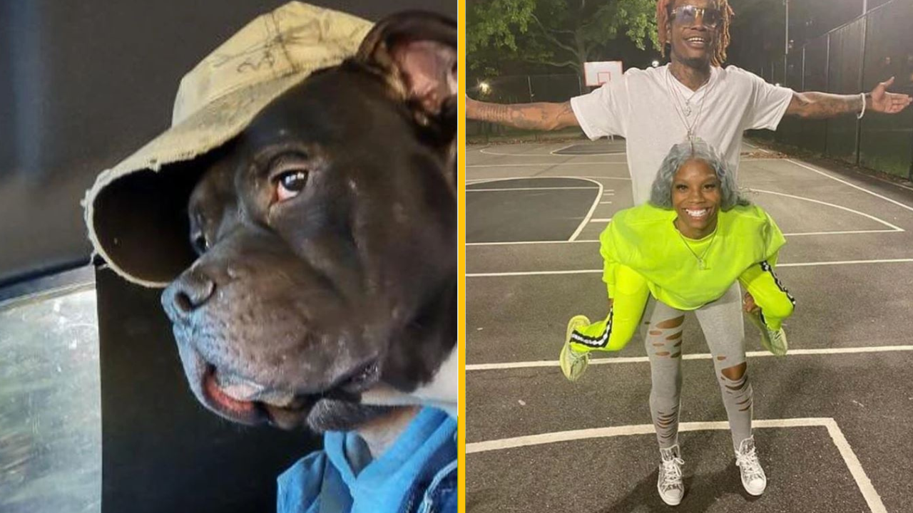 Mätúce fotografie, na ktoré sa budete musieť pozrieť dvakrát