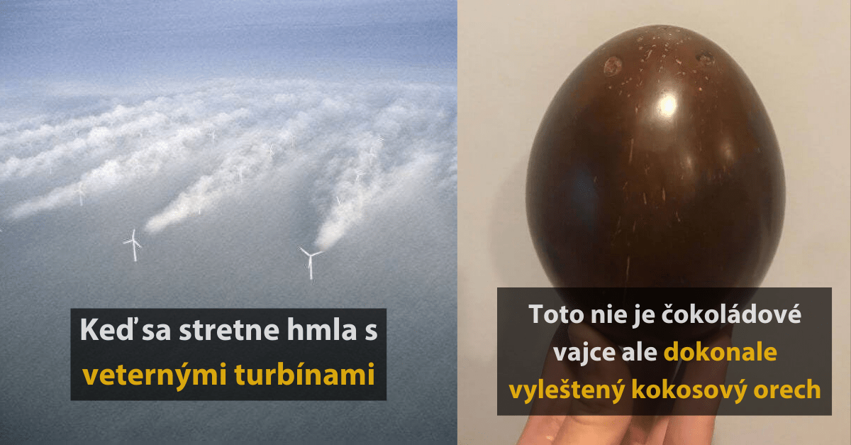 20 fascinujúcich fotografií kde sa stretáva svet vedy s prírodou