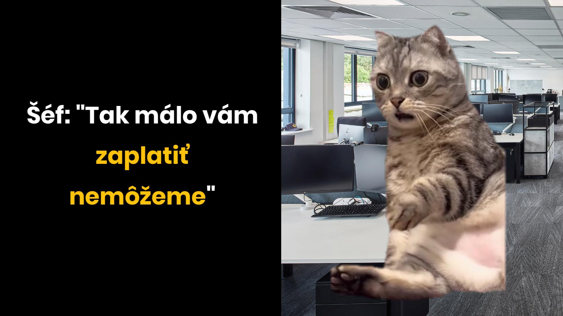 Platí vám šéf, čo si zaslúžite?