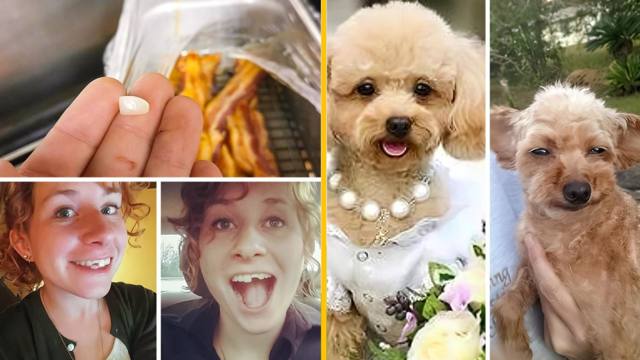 19 ľudí, ktorí zlyhali tak elegantne, že im musíme vzdať pochvalu