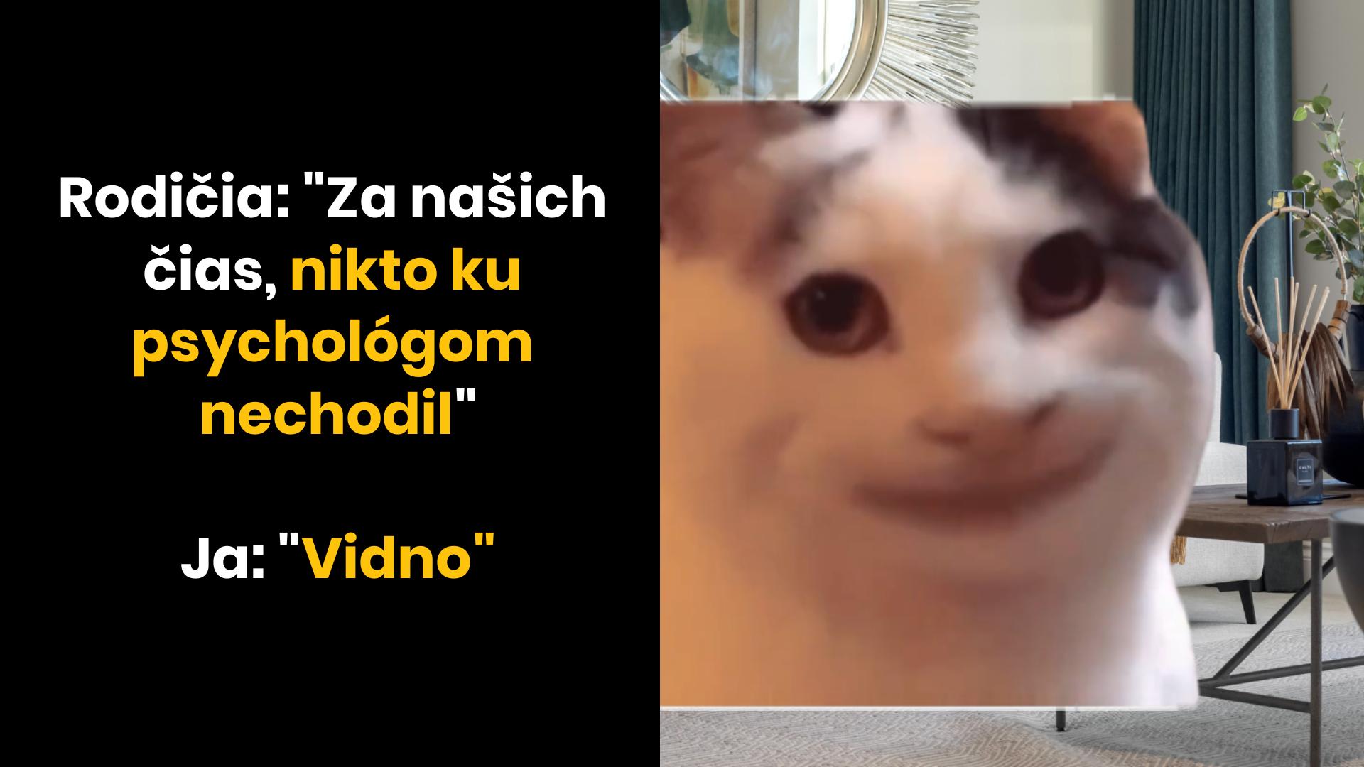 Nechodilo sa ku psychológom?