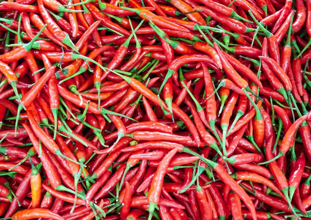 meal, food, red, chilli, chilli, chilli, chilli, chilli, chilli