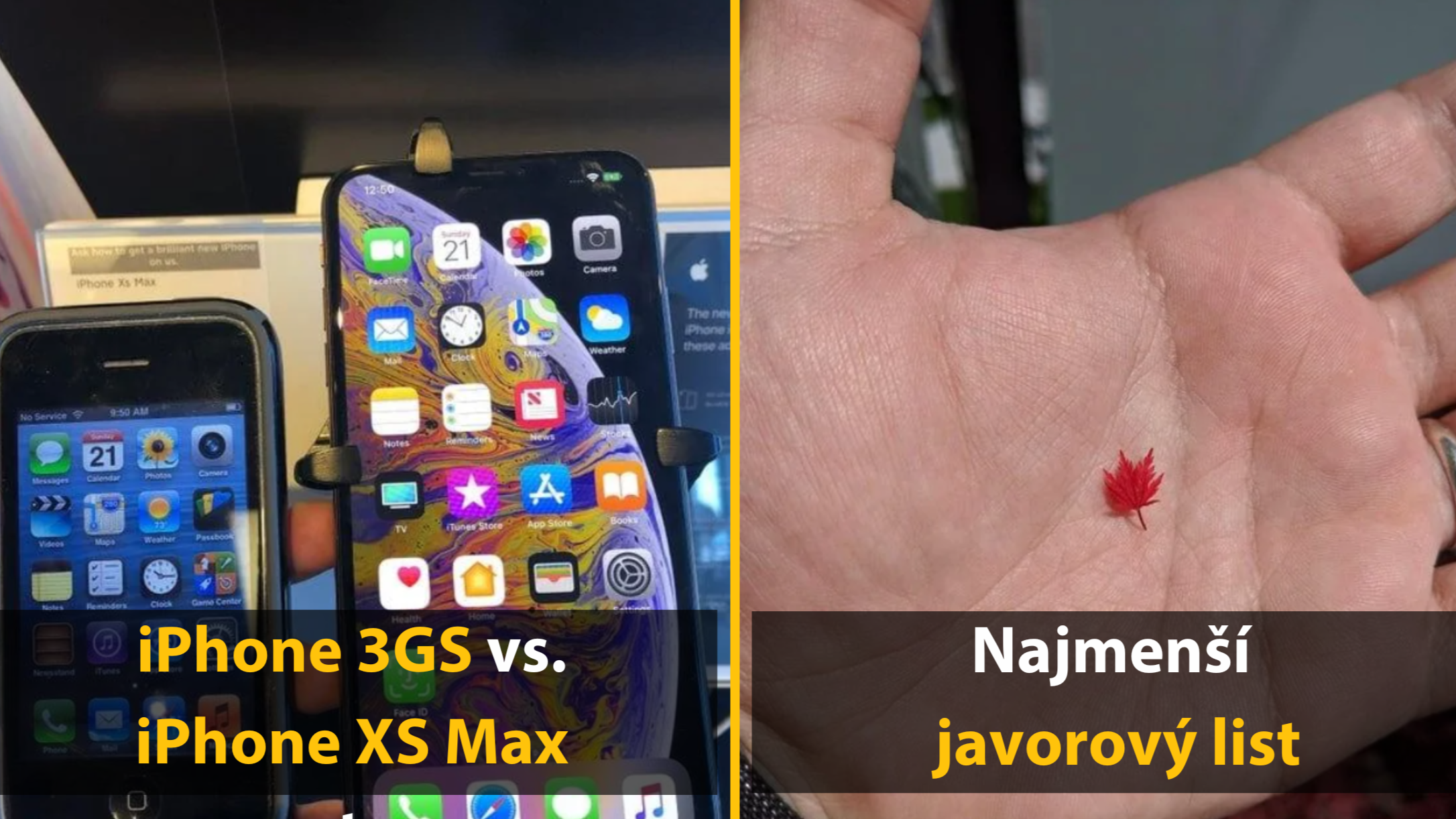 13 fascinujúcich porovnaní, ktoré ti odhalia skutočné rozmery vecí