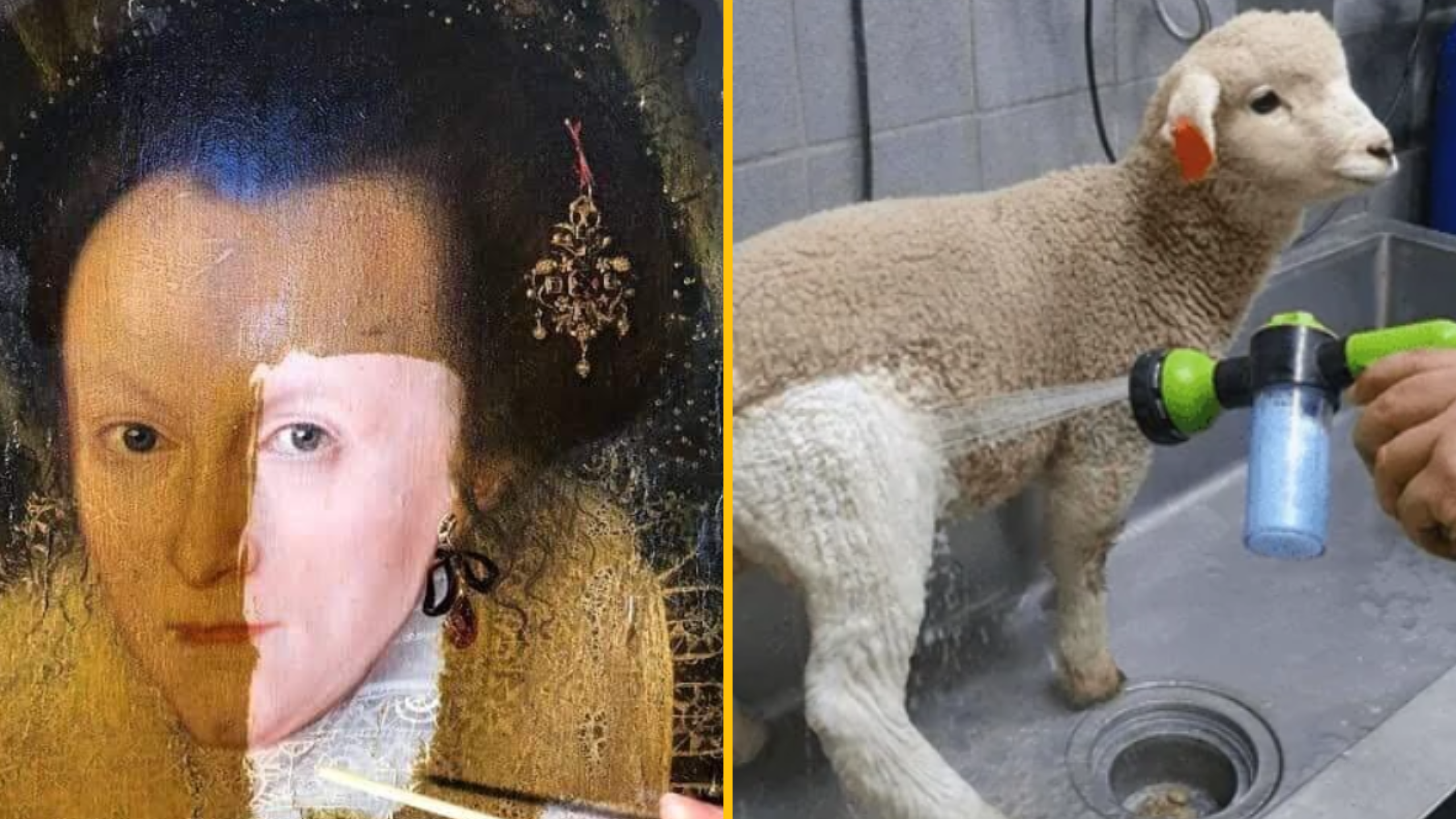 15 fotografií vecí pred a potom čo ich vyčistili skutoční majstri čistoty