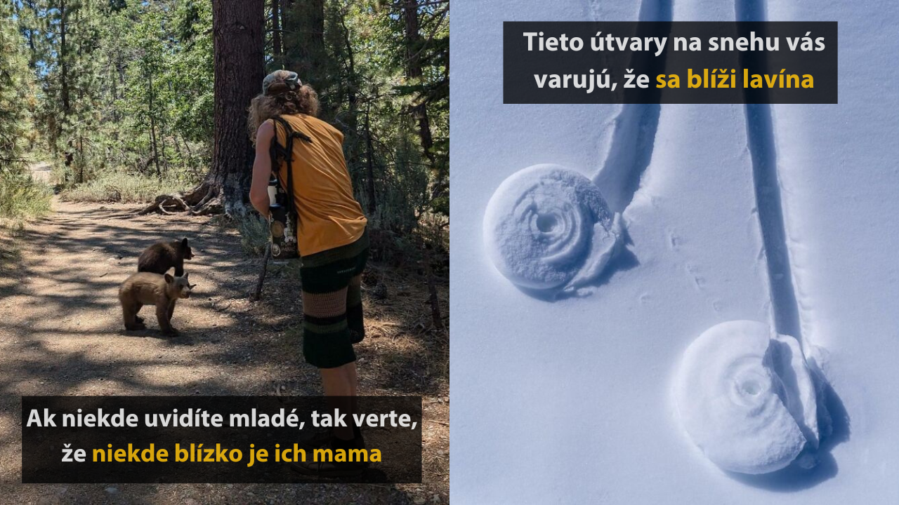 10 ľudí, ktorí si neuvedomili, že sa práve zahrávali s vlastným životom #2