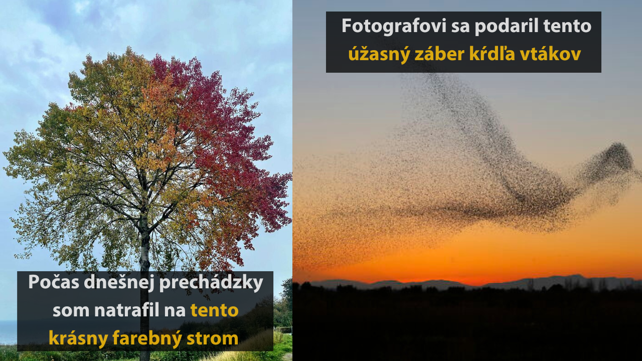 10 pozoruhodných náhod, ktoré uvidíte možno raz za život #3