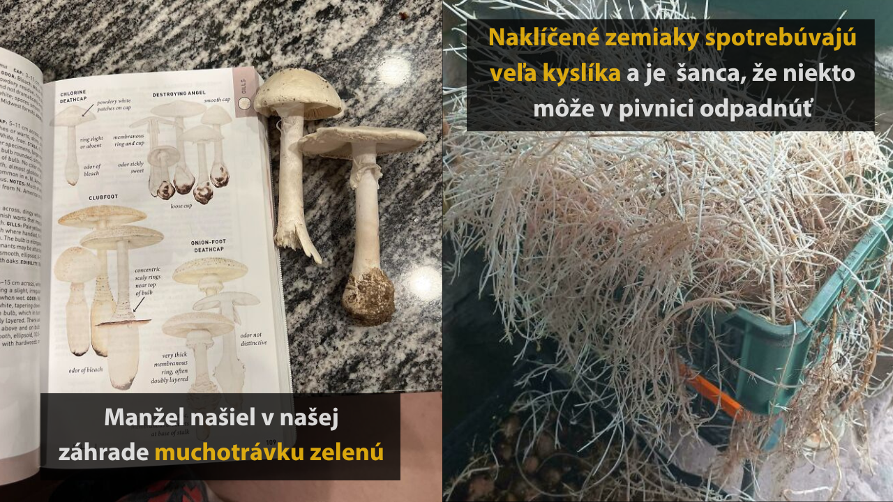 10 ľudí, ktorí si neuvedomili, že sa práve zahrávali s vlastným životom #3