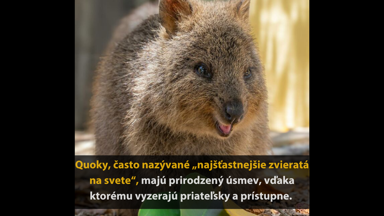 10 zaujímavých a prekvapivých faktov o zvieratách, ktoré ste určite nevedeli #2