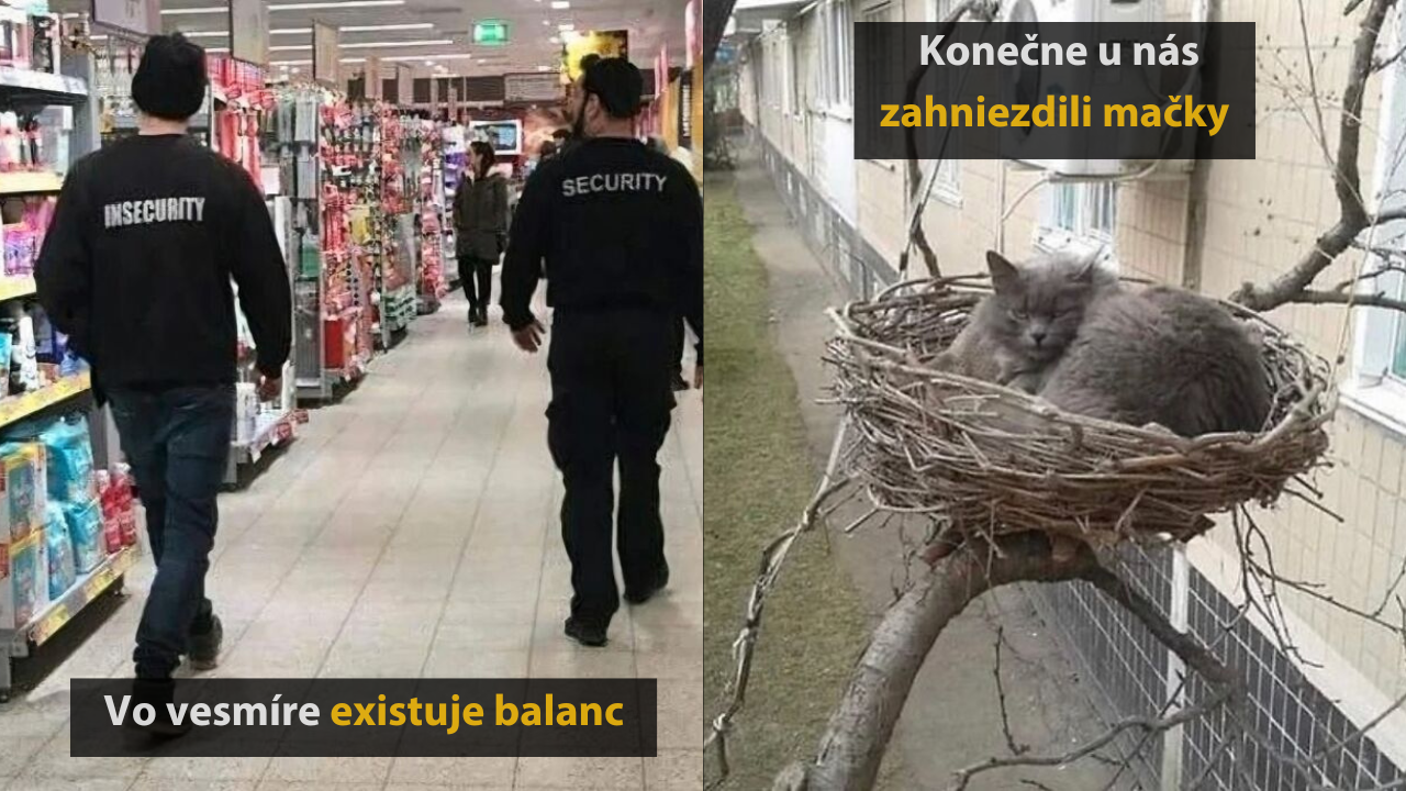 10 divných, no zároveň roztomilých fotografií, na ktoré sa nedá prestať pozerať #2