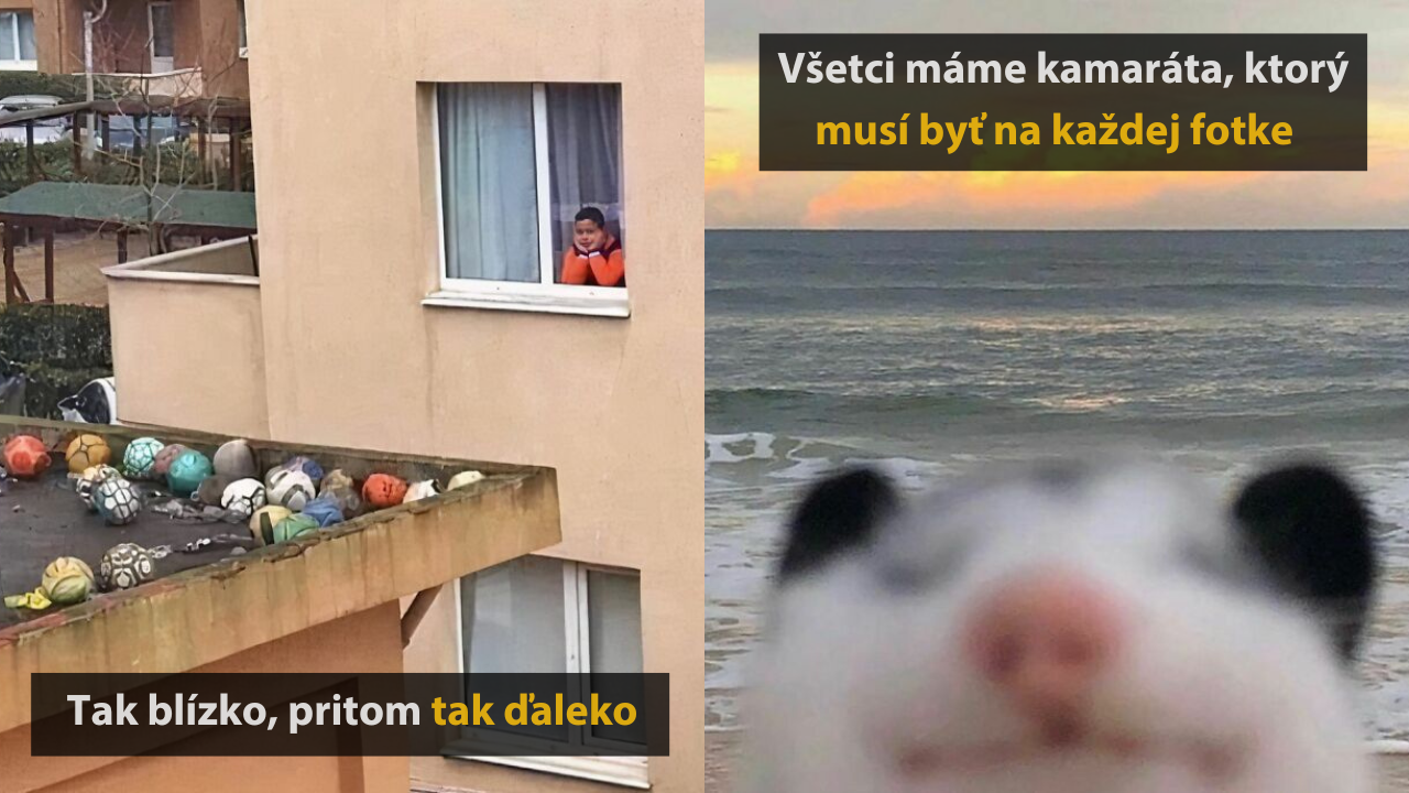 10 divných, no zároveň roztomilých fotografií, na ktoré sa nedá prestať pozerať #3
