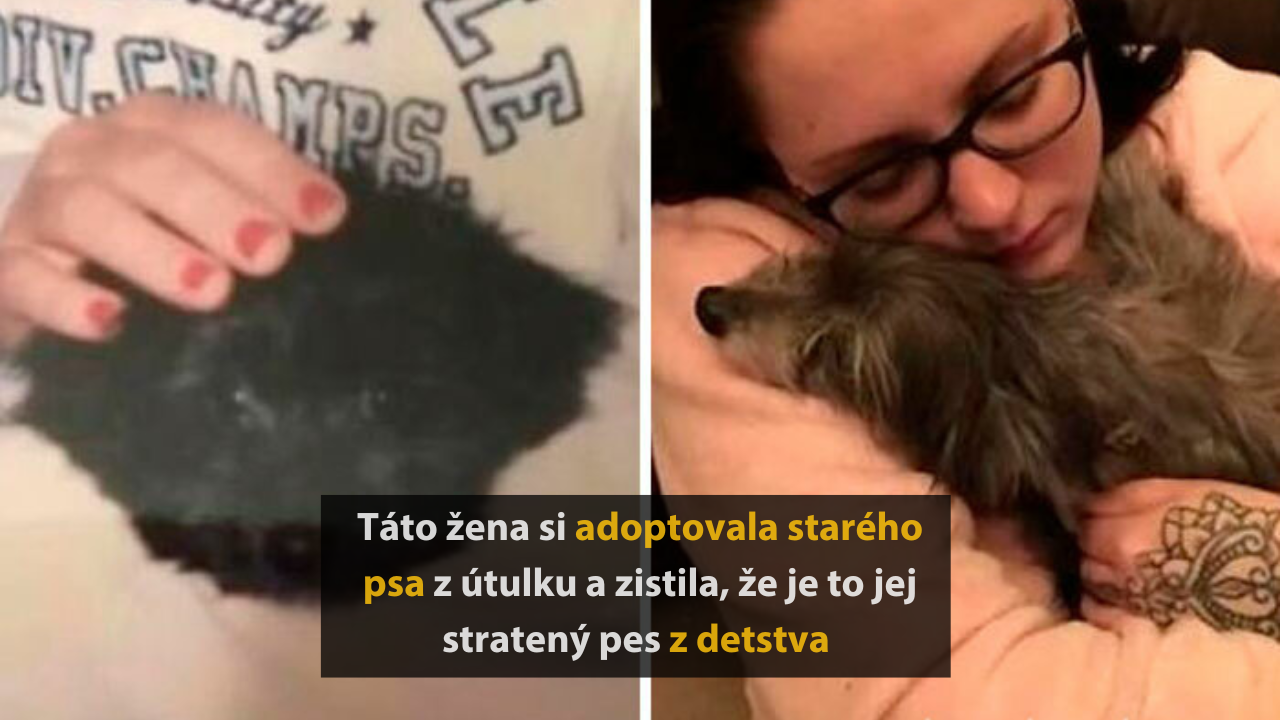 10 náhodných zaujímavostí a príbehov z celého sveta #1