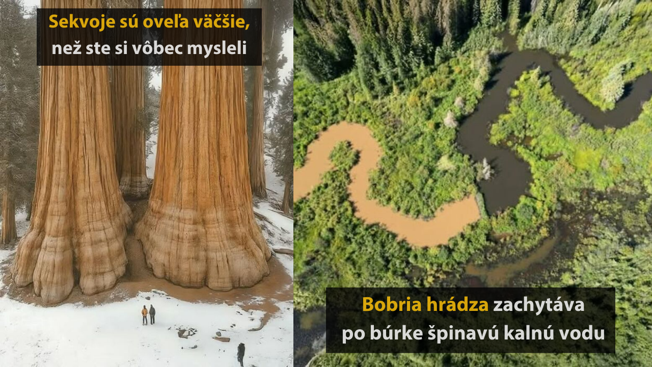 Úchvatné zábery z prírody, ktoré sa jednoducho oplatí vidieť #1