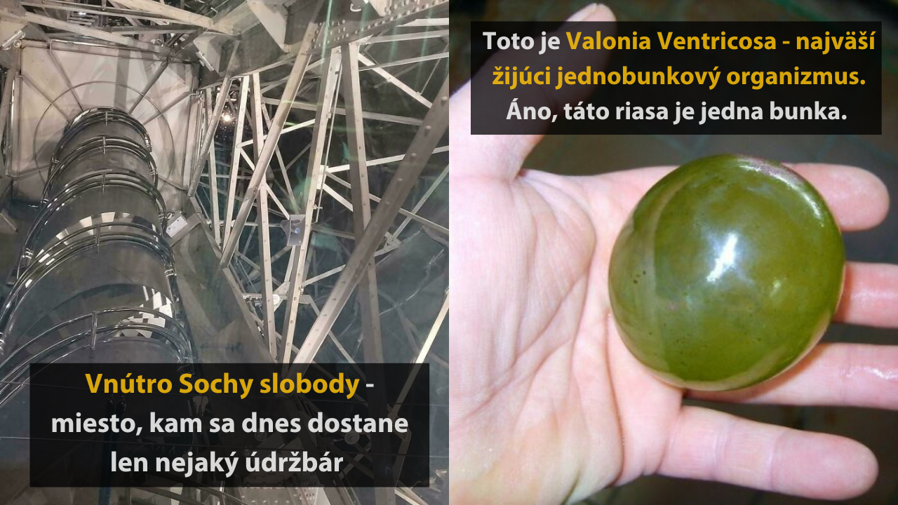 10 raritných fotografií, ktoré vám ukážu veci, ktoré ste ešte určite nevideli #3