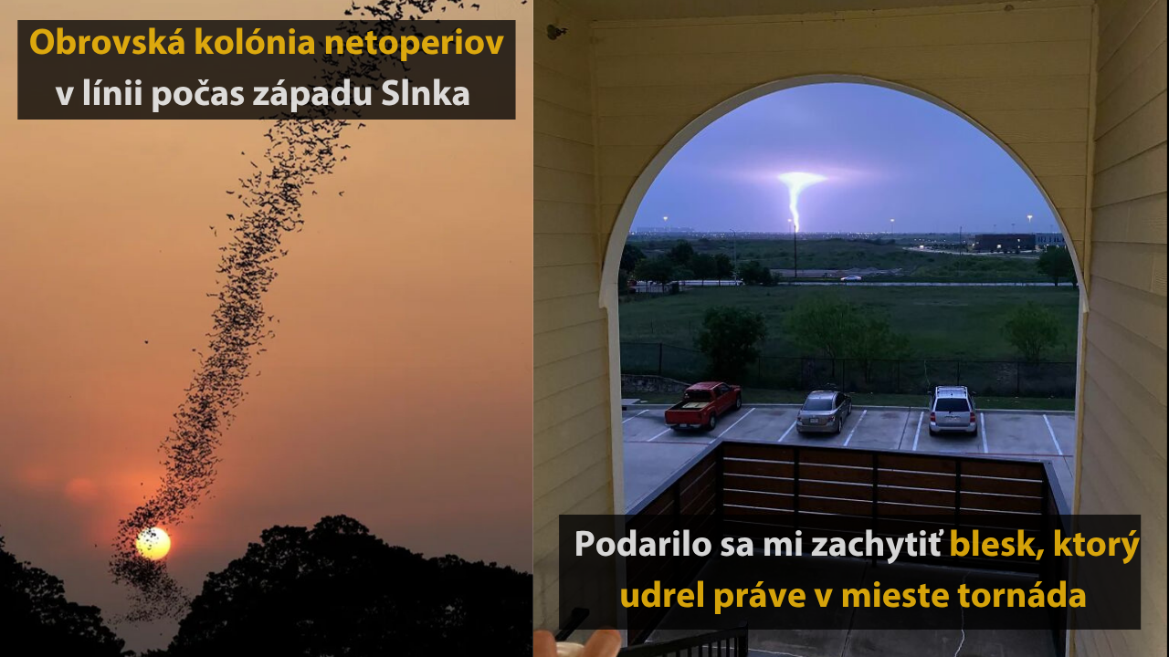 10 pozoruhodných náhod, ktoré uvidíte možno raz za život #2