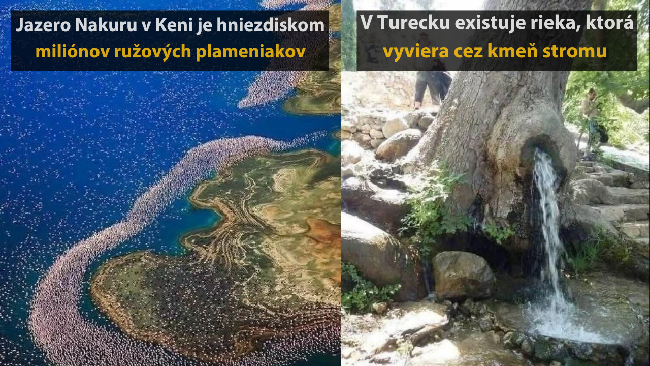 Úchvatné zábery z prírody, ktoré sa jednoducho oplatí vidieť #3