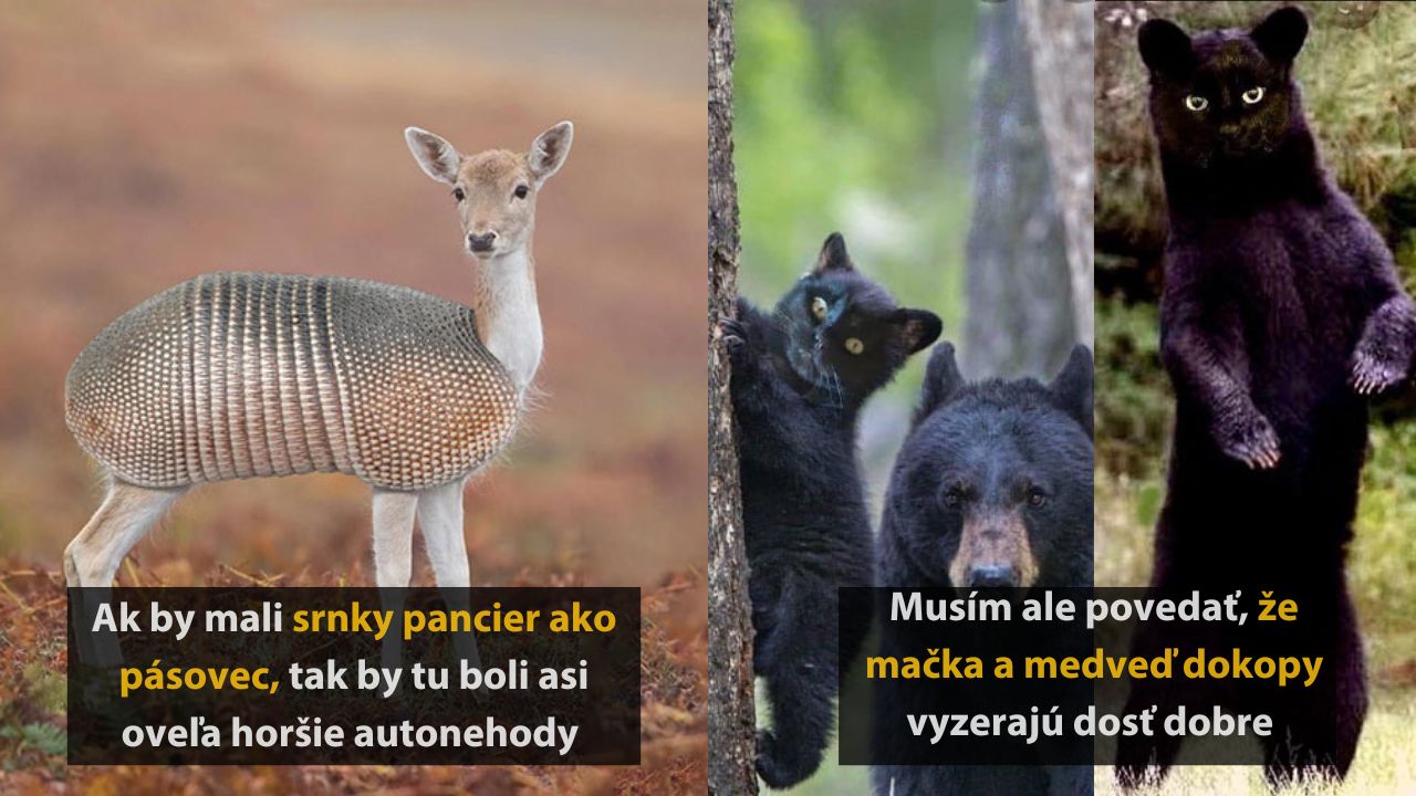 Keď sa kreativita stretne s humorom : 10 srandovných fotografií #2