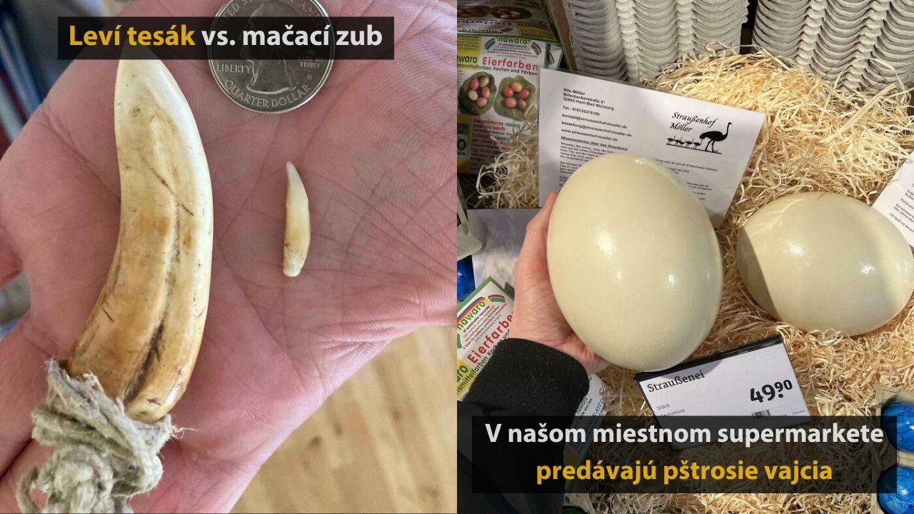 Pestrý výber fotiek a zaujímavostí z rôznych kútov sveta #4