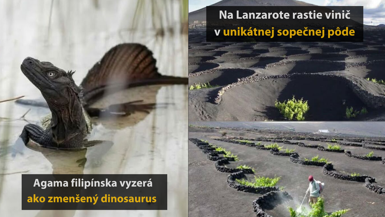 Úchvatné zábery z prírody, ktoré sa jednoducho oplatí vidieť #4