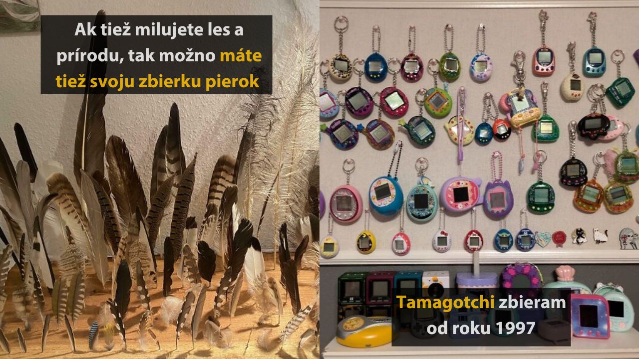 10 ľudí, ktorí premenili bežné veci na tie najnetradičnejšie zbierky #3