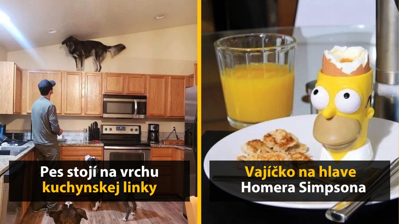 30+ Obrázkov, ktorými dokonale zabiješ čas #563 – Kura na motorke, Elon Musk v zámku alebo krb z dreva