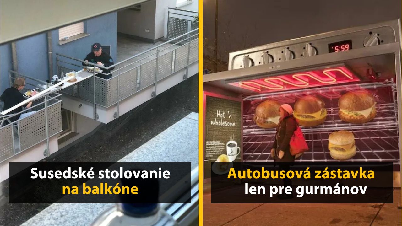 30+ Obrázkov, ktorými dokonale zabiješ čas #564 – Mačka ako držiak na telefón, pes na koni, či nohavice pre dvoch