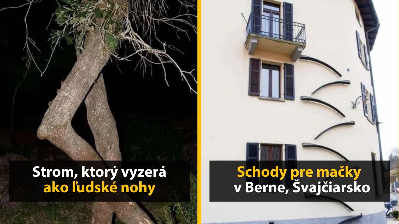 30+ Obrázkov, ktorými dokonale zabiješ čas #565 – Dvere na elektrickej zásuvke alebo Benátky na suchu