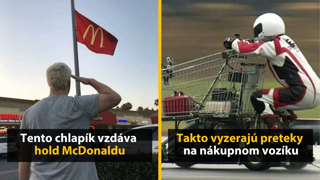 30+ Obrázkov, ktorými dokonale zabiješ čas #566 – Kráľ holubov v akcii alebo preteky na nákupnom vozíku