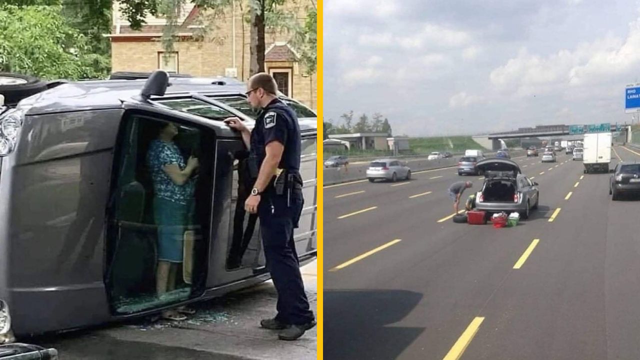 10 fotografií, ktoré vám ukážu, že nemáte až taký zlý deň, ako ste si možno mysleli #4