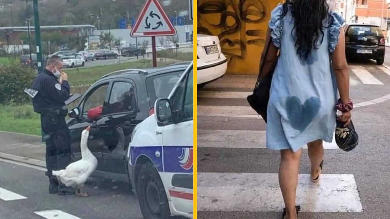 10 perfektne načasovaných fotiek, ktoré vám vyčaria úsmev na tvári #2