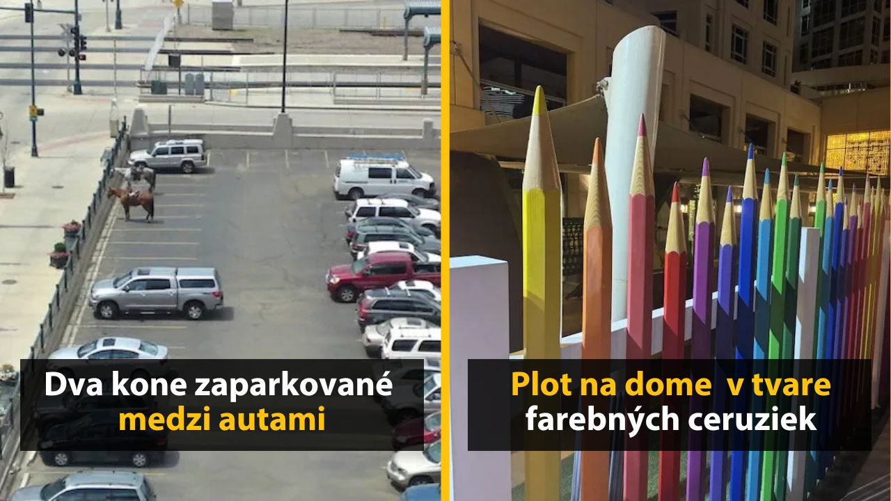 30+ Obrázkov, ktorými dokonale zabiješ čas #568 – Mobilný poľovník priamo v akcii alebo korytnačka v rifliach