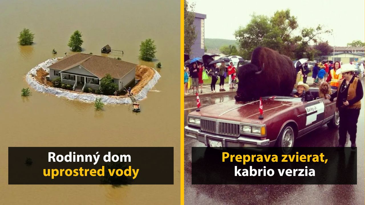 30+ Obrázkov, ktorými dokonale zabiješ čas #569 – Formula pre celú rodinu alebo nevesta na bežeckom páse