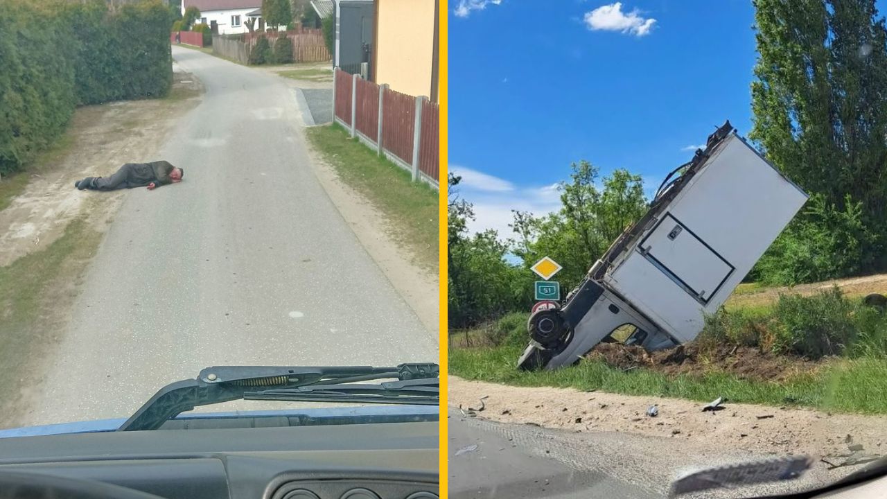 10 fotografií, ktoré vám ukážu, že nemáte až taký zlý deň, ako ste si možno mysleli #5