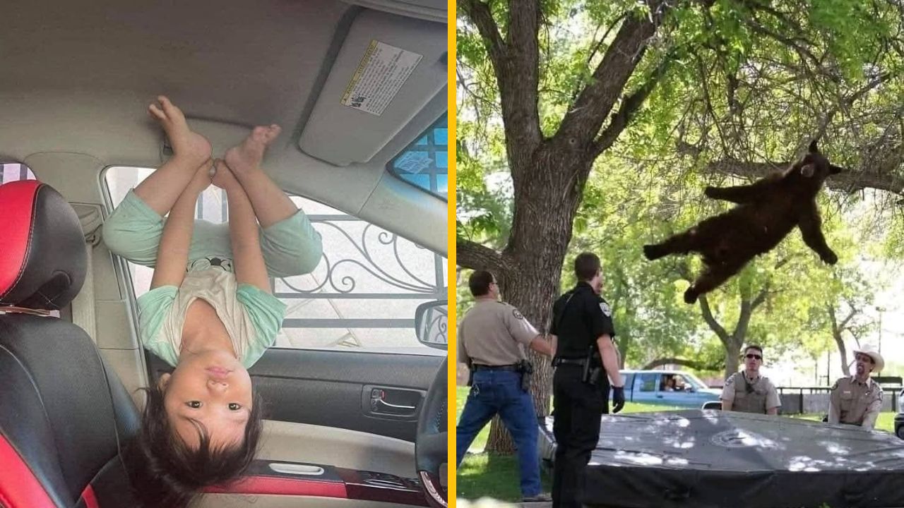 15 vtipných fotiek z celého sveta, pri ktorých sa zabavíte #3