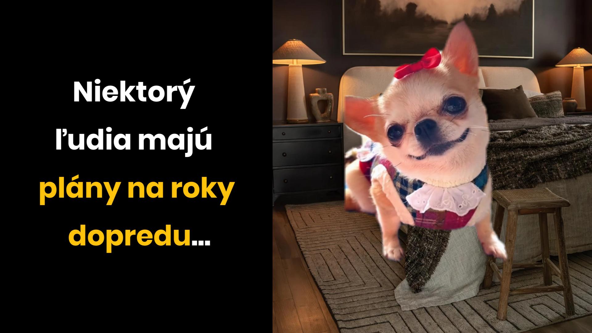 Plány na rok dopredu?… nie