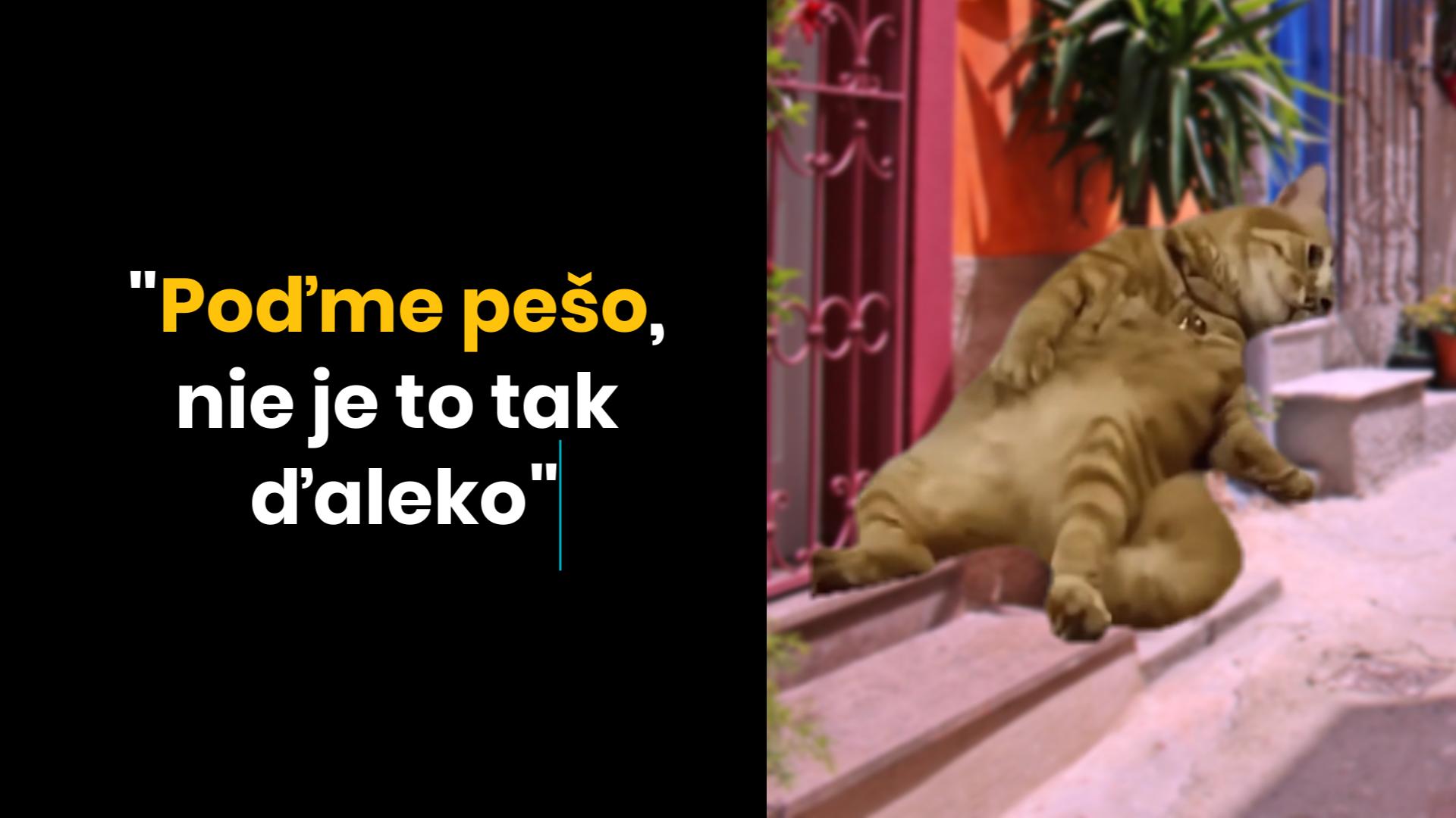 27 tisíc krokov neskôr