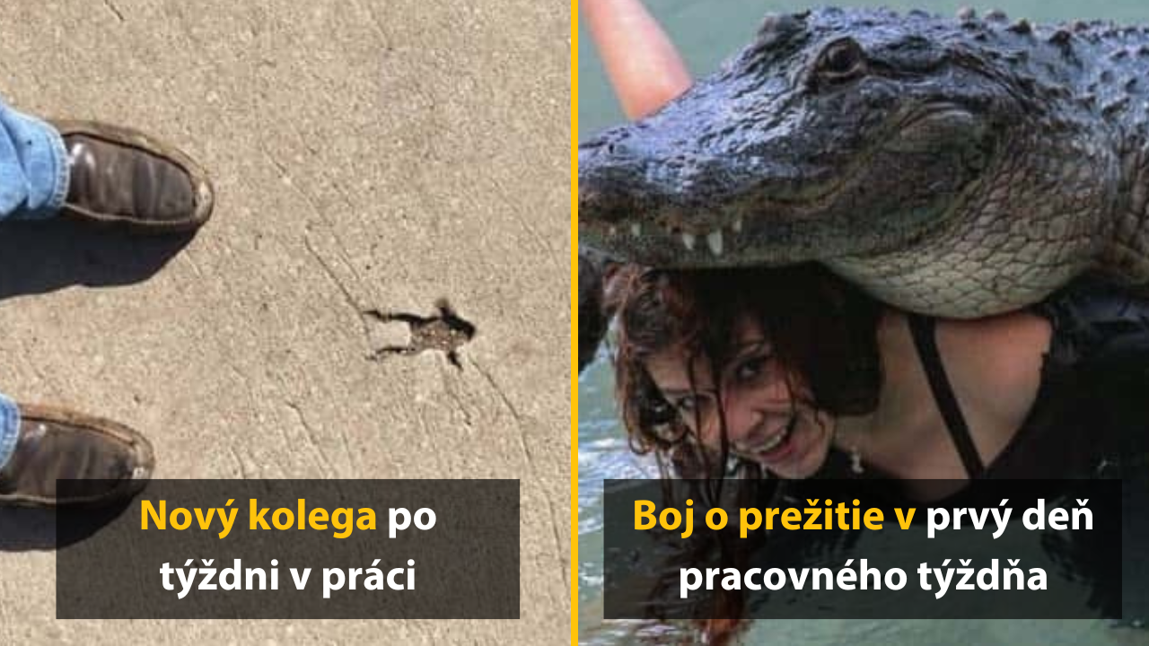 10 bolestivých pondelkových vtipov, ktoré zničia vašu frustráciu z nového týždňa