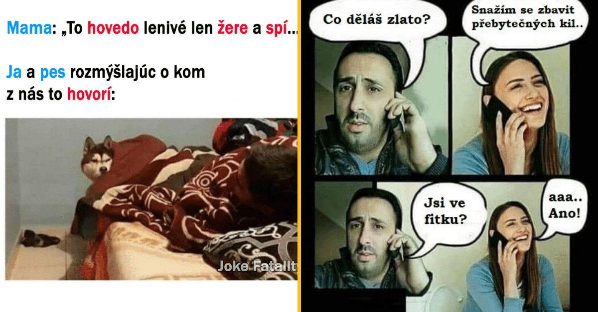 20+ Obrázkov: Všetko vtipné z internetu! #507 – Nákupný zoznam s kečupom ale aj prílišná podobnosť so psom