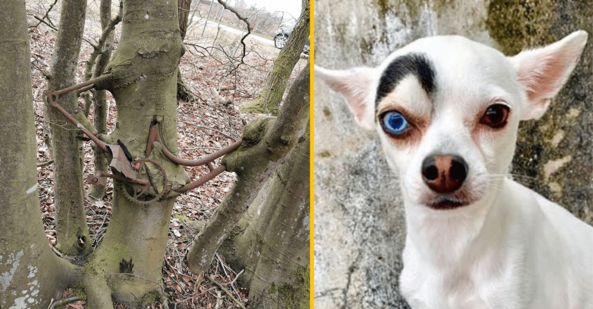 15 fotografií prírody, kedy nás prekvapila svojou pestrosťou a unikátnosťou