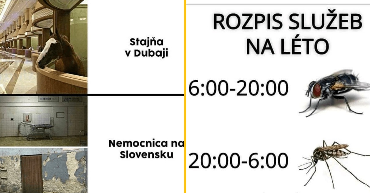 20+ Obrázkov: Všetko vtipné z internetu! #504 – Budúci slovenskú dôchodci a papuče na návšteve