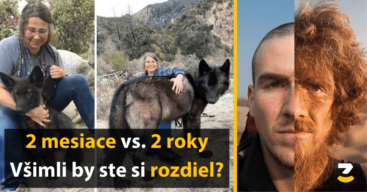 15 šokujúcich porovnaní, ktoré musíte vidieť aby ste im uverili