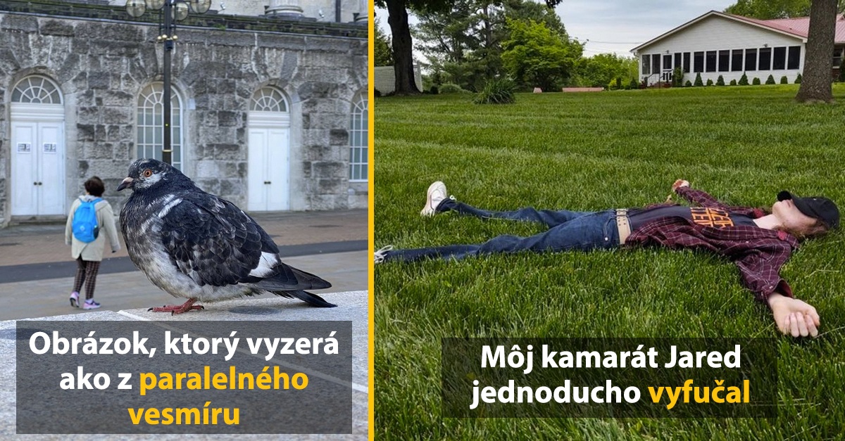 15 fotiek, ktoré su tak dokonalé vďaka unikátnemu uhlu pohľadu