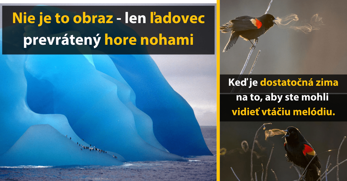 15 ľudí, ktorým sa podarilo zachytiť unikátne zábery