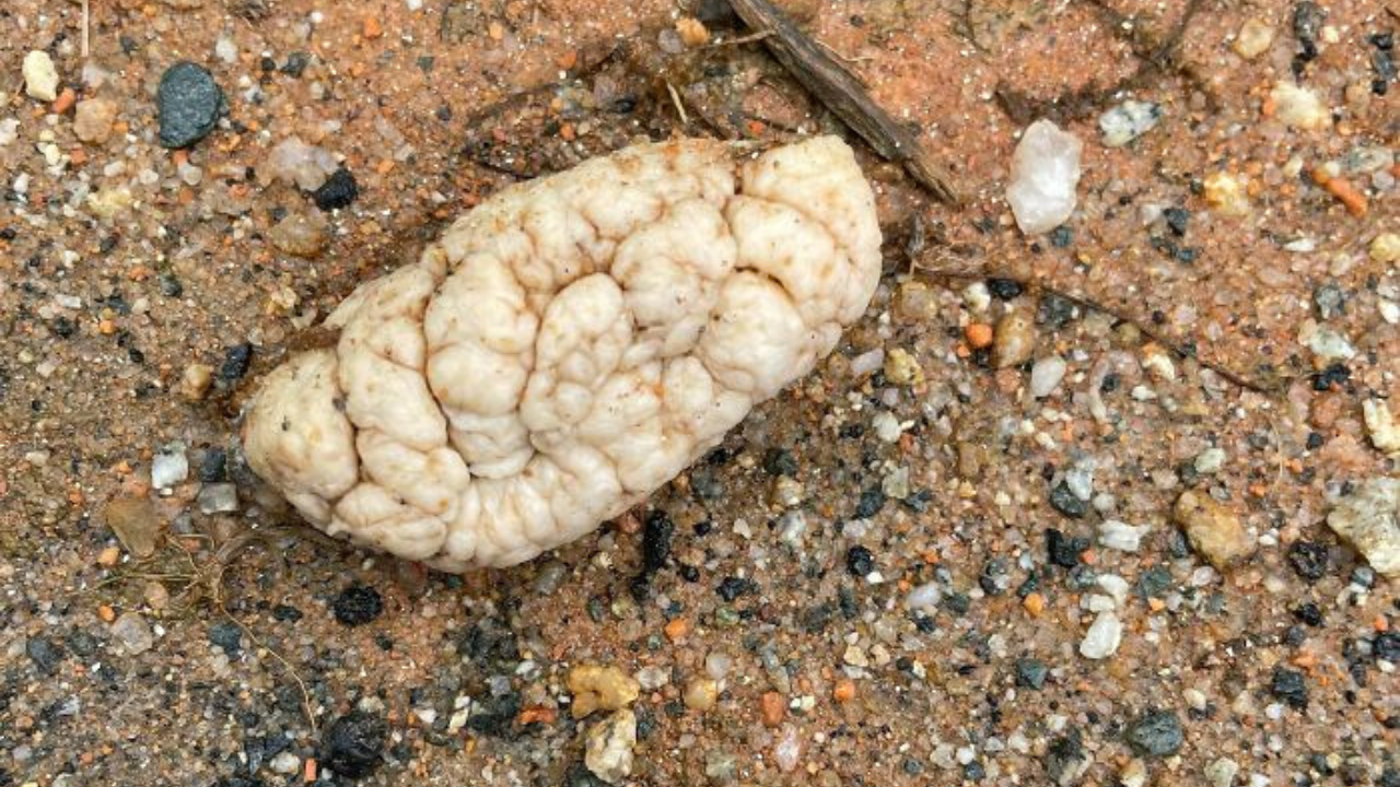 5 ľudí, ktorí netušili na čo sa pozerajú ale internet im dal odpoveď