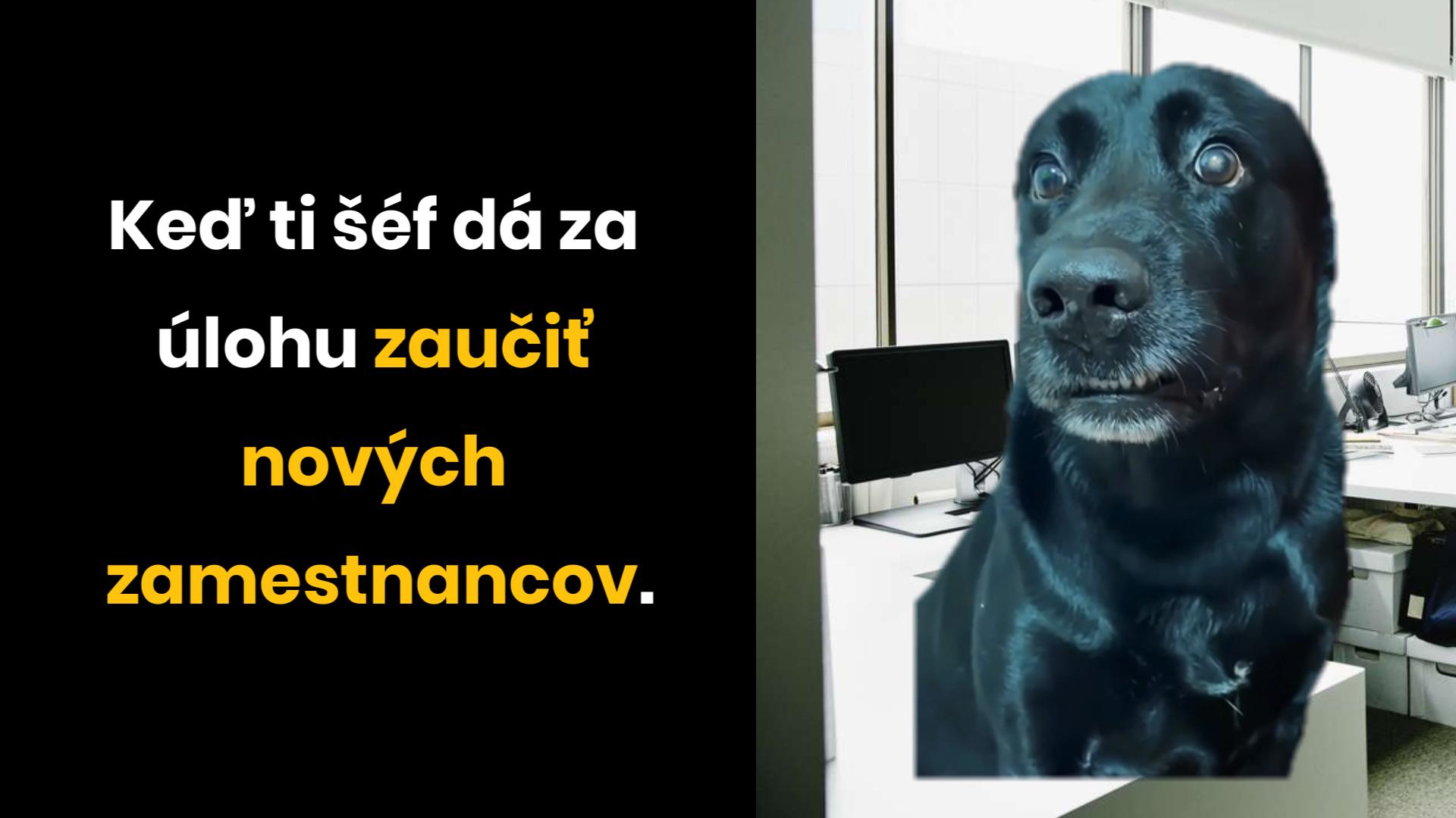 Pracujete podľa pravidiel?