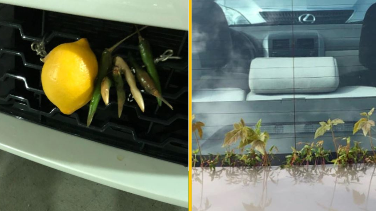 13 bizarných predmetov, ktoré ľudia našli v autách